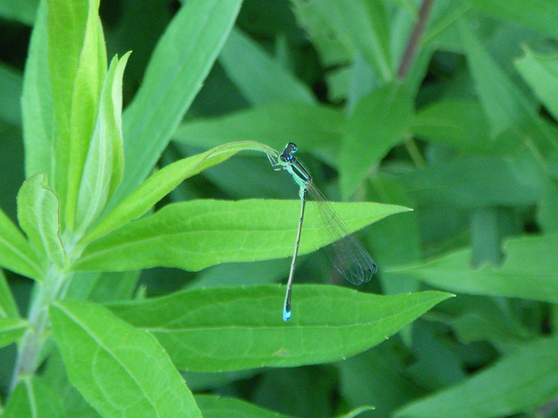 e0128144_4513480.jpg