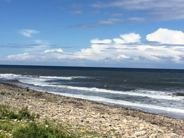 c0254151_17305791.jpg