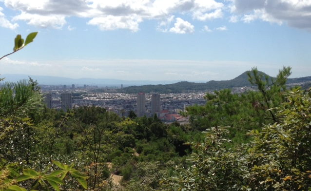 f0065954_172703.jpg