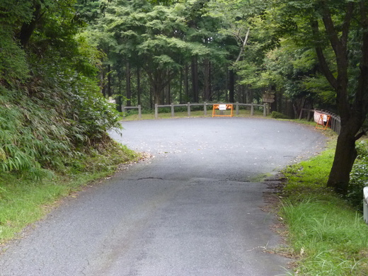 奇石の山　金勝山（こんぜさん）周回_d0231858_18172831.jpg