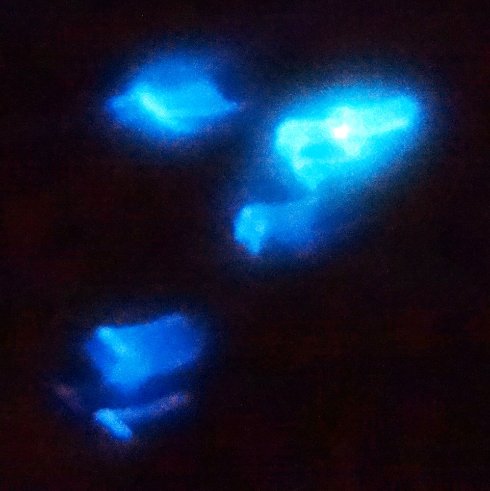 c0108460_23555003.jpg