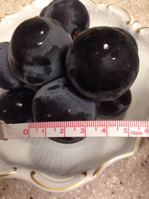 贅沢!ブドウ尽くし_f0134268_1551093.jpg