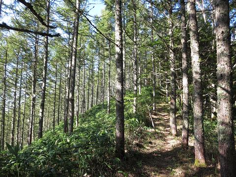 将棊頭山・茶臼山　　権現づるねルート 　一泊二日　　＜一日目＞_f0302771_13332191.jpg