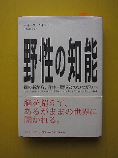 診断　あら探し新聞。_b0141773_19373276.jpg