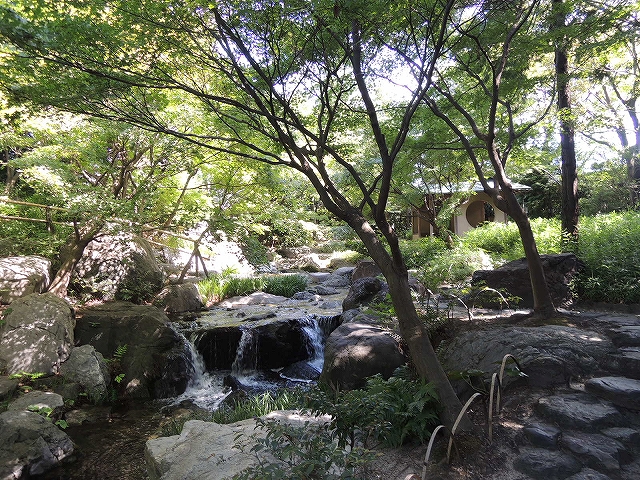 名古屋市熱田区の日本庭園　白鳥庭園を散策　その1_b0140276_1521656.jpg