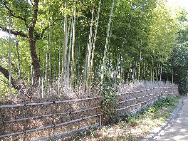 名古屋市熱田区の日本庭園　白鳥庭園を散策　その1_b0140276_1535575.jpg