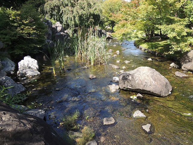 名古屋市熱田区の日本庭園　白鳥庭園を散策　その1_b0140276_1561256.jpg