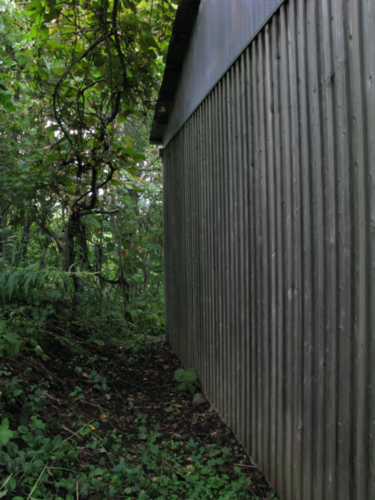 b0221077_21434956.png