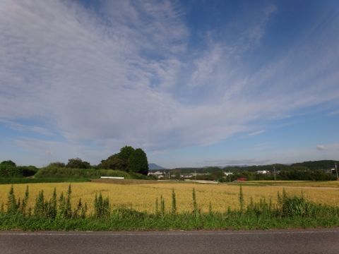 b0343681_2212487.jpg