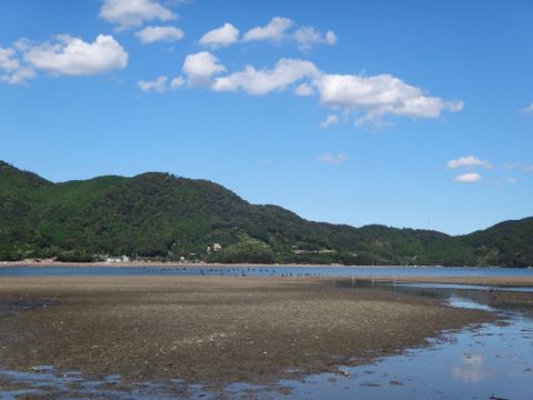 b0343681_2213321.jpg