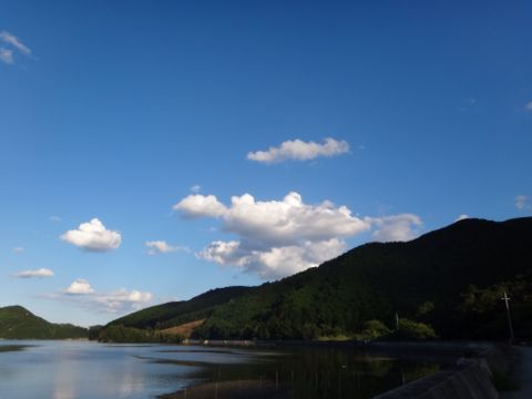 b0343681_2213519.jpg