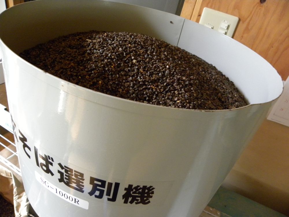 信州信濃の新蕎麦よりも・・・_b0329588_08451418.jpg