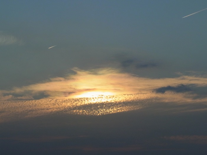c0049299_11561926.jpg