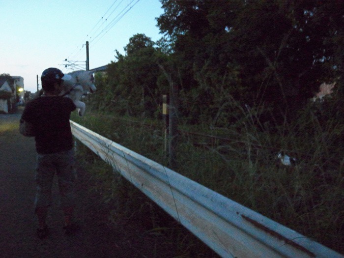 c0049299_11595620.jpg