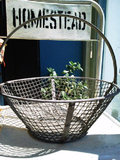 f0255704_1357375.jpg