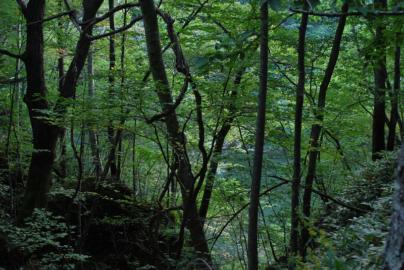 d0051707_18341944.jpg