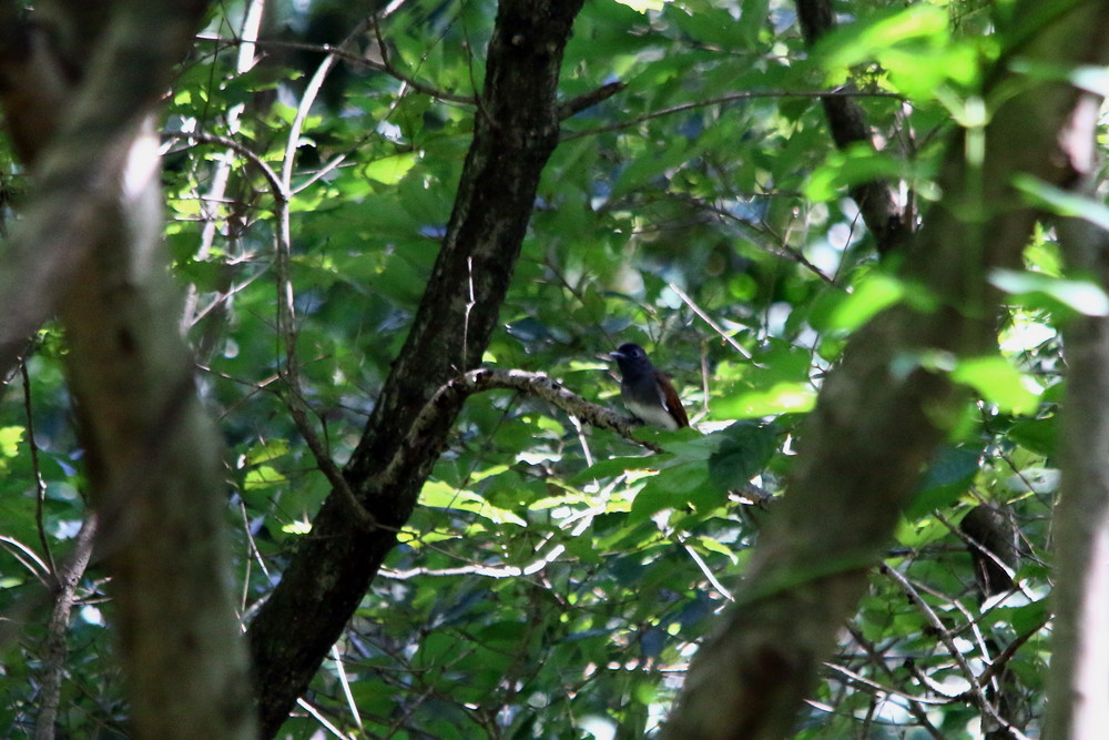 f0235311_2259319.jpg