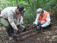 c0173813_15201266.jpg