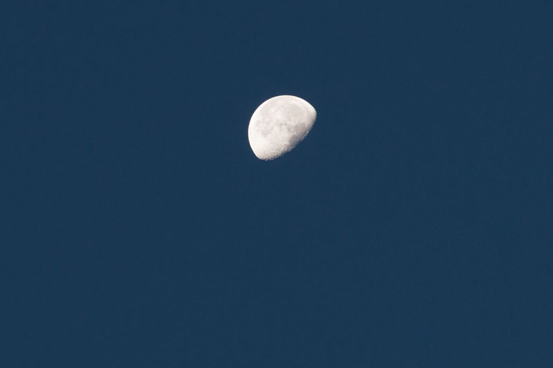 a0278914_11533369.jpg