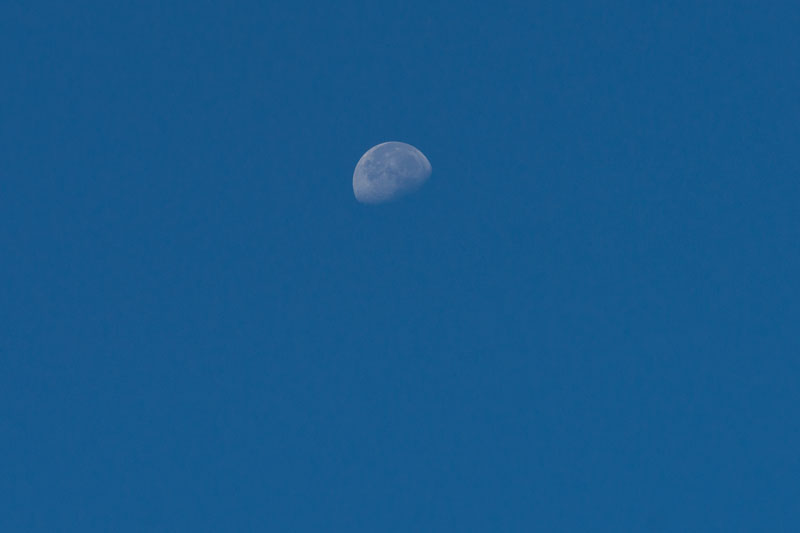 a0278914_1157854.jpg