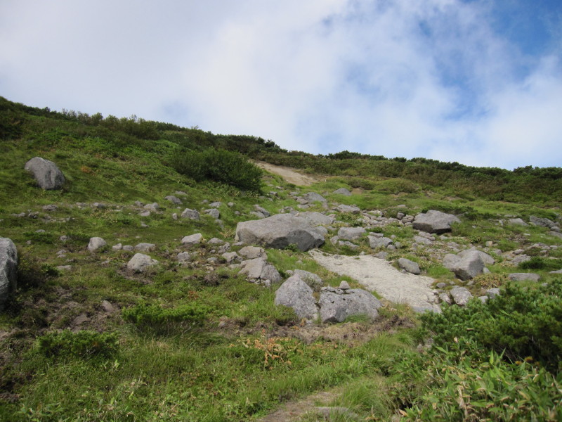d0103314_23132444.jpg