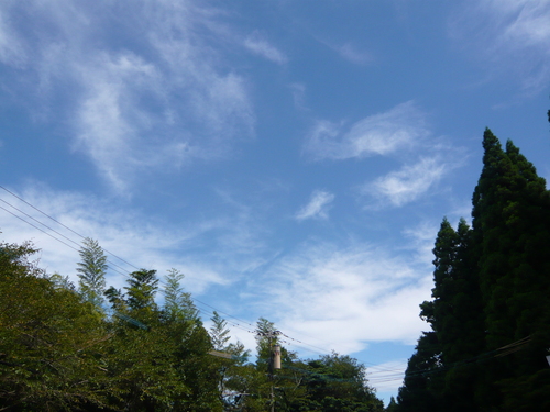 a0238019_2123922.jpg