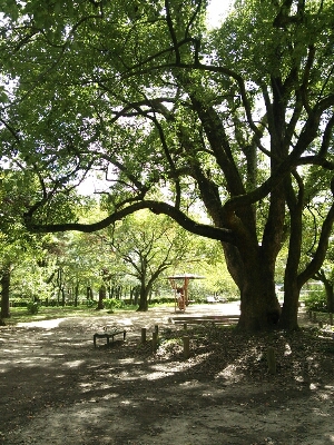 b0080027_9213261.jpg
