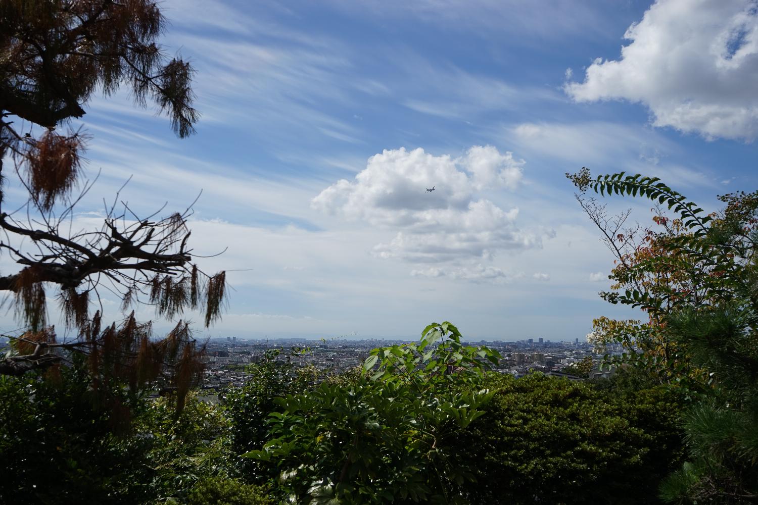 b0069128_10161432.jpg