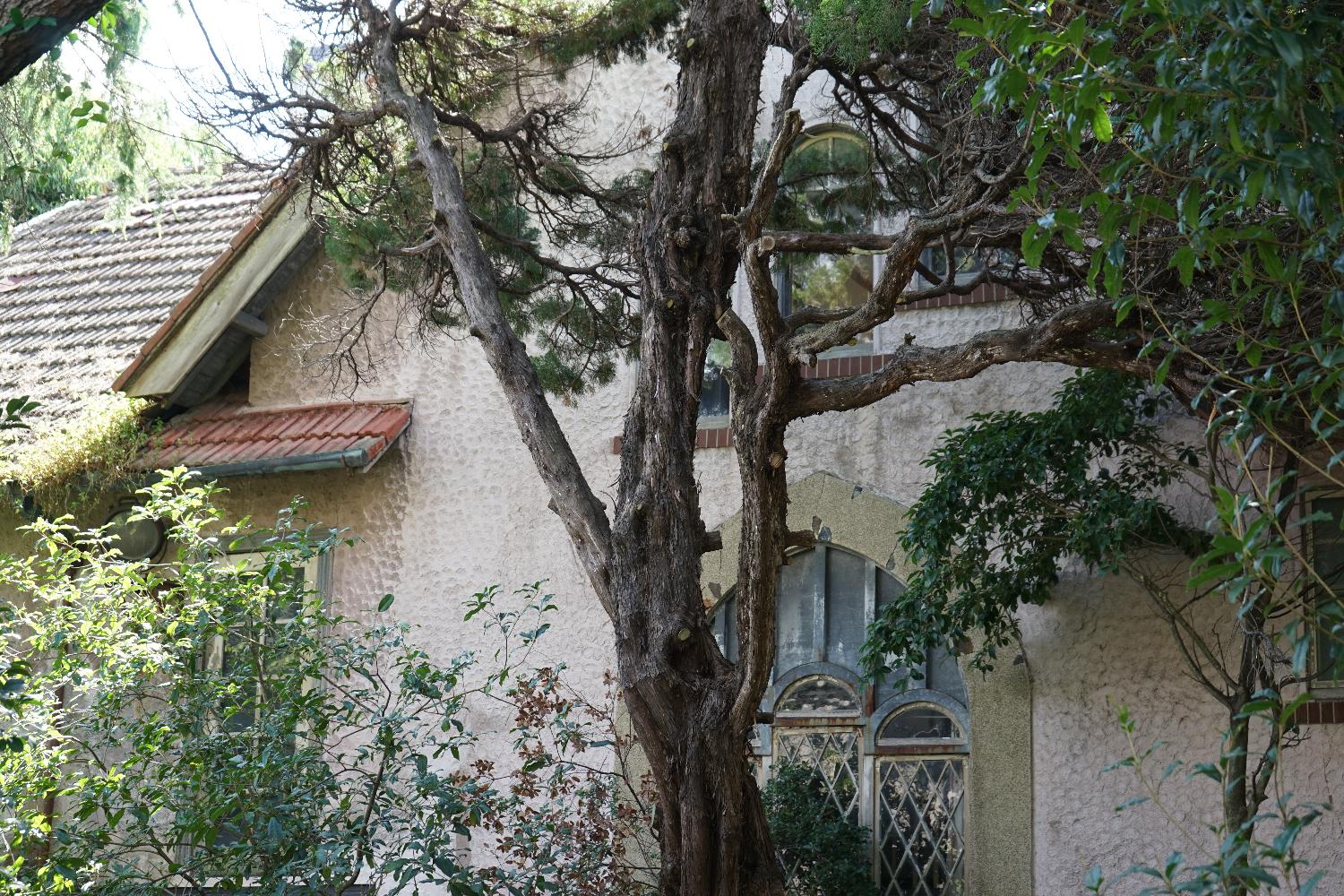 b0069128_9573592.jpg