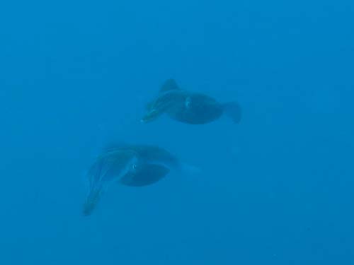 2014年9月14日(日・晴れ)甲浦_d0164831_15112240.jpg