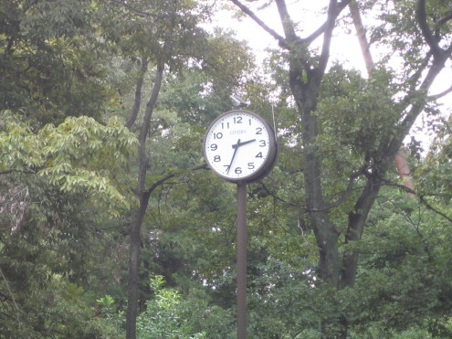 a0291132_11593628.jpg
