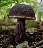 f0108133_061952.jpg