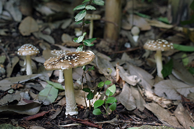 f0108133_06322.jpg
