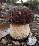 f0108133_071170.jpg