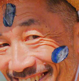 カツオノカンムリ Velella Velella もっと後 Beachcomber S Logbook カツオノカンムリ Velella Velella もっと後 Beachcomber S Logbook