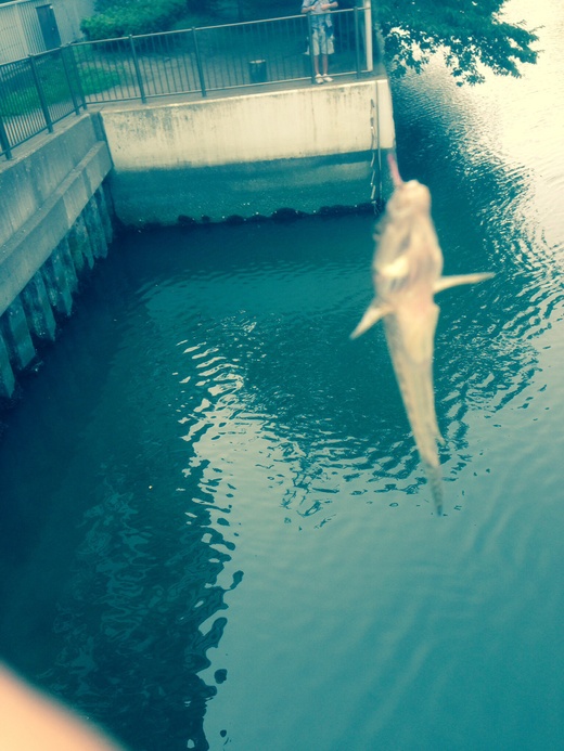 c0234439_34025.jpg