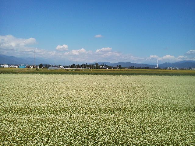 a0272241_15204858.jpg