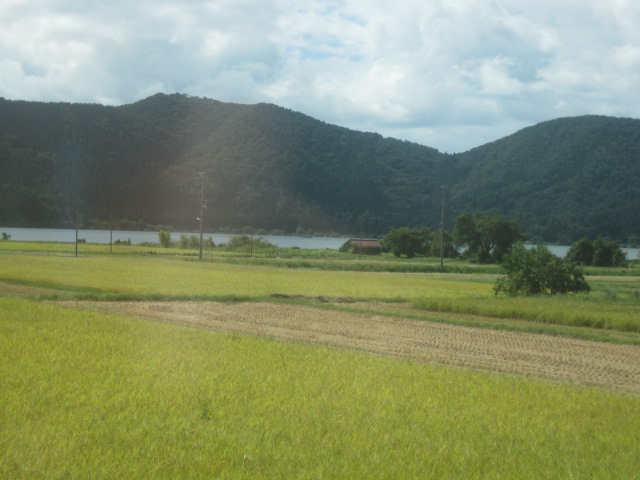 d0101846_73573.jpg