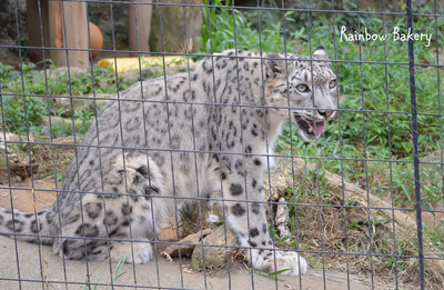 Tama zoo_e0267948_154611.jpg