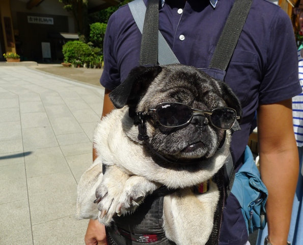 続  続  江ノ島へ_d0173654_11194831.jpg