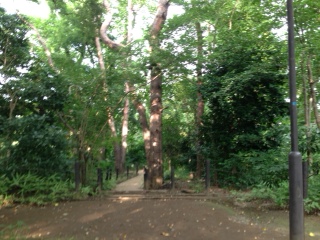 いい 悪い とつい評価してしまう私たち_d0065558_8113930.jpg