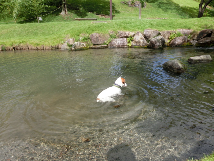 c0140260_23183420.jpg