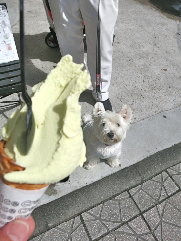 ジャズフェスとピスタチオアイスの日_c0260460_13540492.jpg