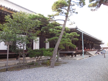 旅日記のその4_e0033570_06585036.jpg