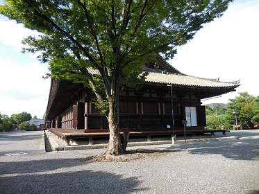 旅日記のその4_e0033570_06591526.jpg