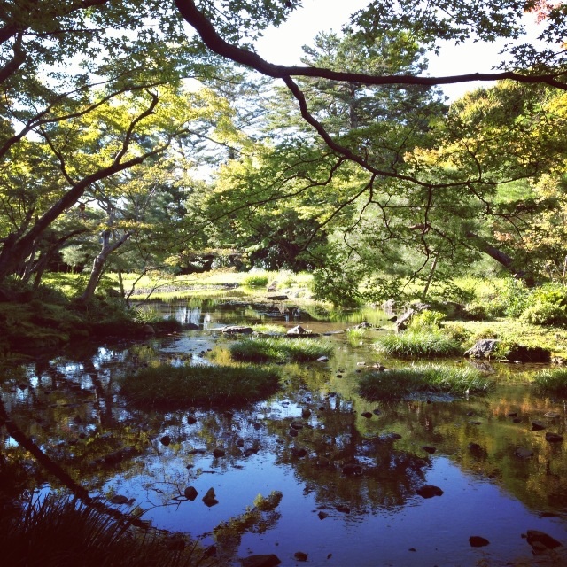 京都1泊2日旅行 ア・ラ・フランス_d0249678_23305391.jpg