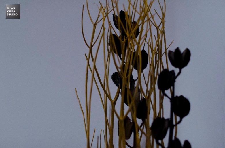 September 15, 2014 Spanish Table: 情熱的なお花 Dynamic Design in Flowers_a0307186_748883.jpg
