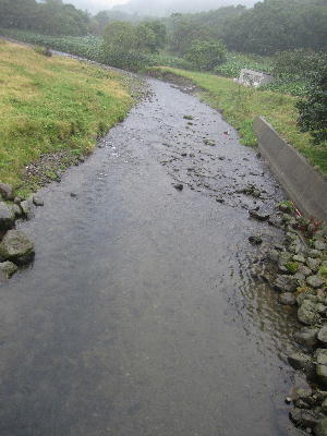 c0171889_14314675.jpg