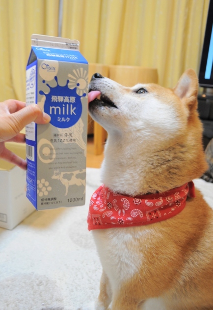 おいしっくすで何作る?_a0126590_23480711.jpg