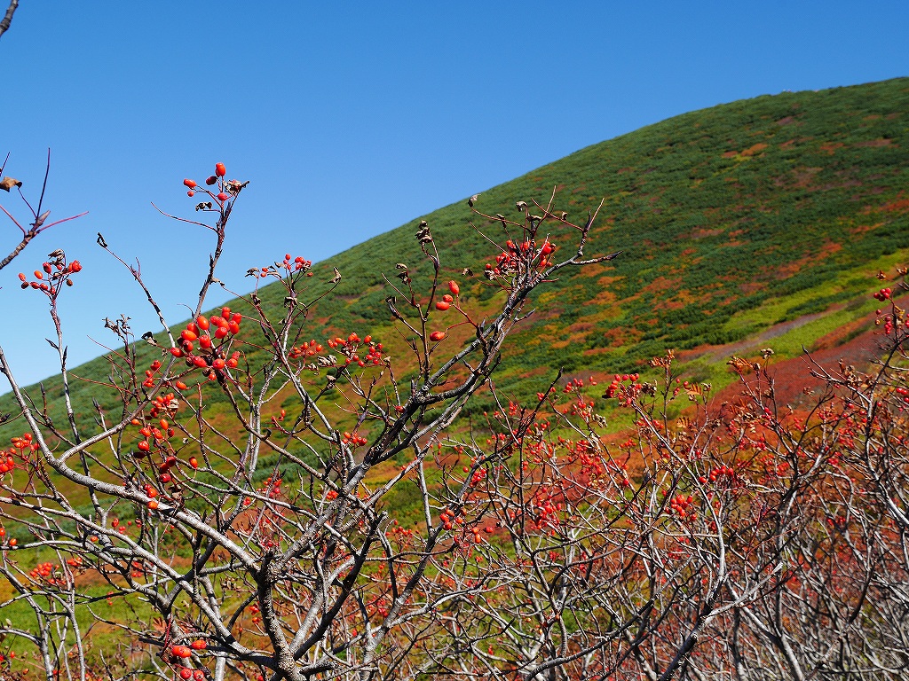 紅葉の羊蹄山、9月14日－速報編－_f0138096_1821554.jpg